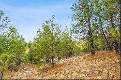 31009 Canyon View Place, Polson MT 59860