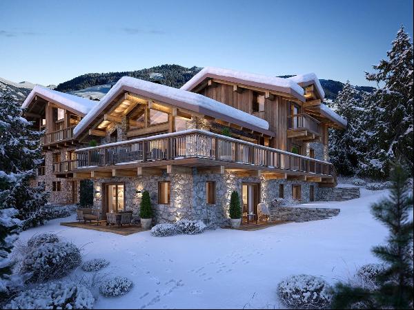 Exceptional chalet with a swimming pool in Saint-Martin-de-Belleville.