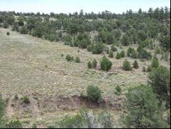 Lot 6 Horseshoe Loop, Ramah NM 87321