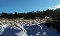 Lot 6 Horseshoe Loop, Ramah NM 87321