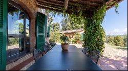 The Artist's House with pool, olive grove and views of Siena - Tuscany