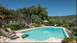 Casale Bellavista with pool and olive grove in Cortona, Toscana