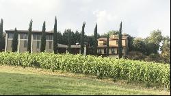 The Nectar Farm vineyards for sale in Montepulciano - Tuscany