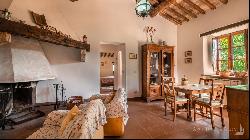  Manenti Country Houses with pool and land, Sarteano, Siena - Tuscany