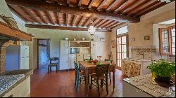 Luxury country house with pool, Greve in Chianti, Florence - Tuscany