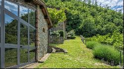 Luxury country house with pool, Greve in Chianti, Florence - Tuscany