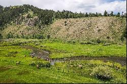 Spring Creek Confluence