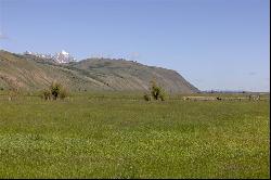 Spring Creek Confluence