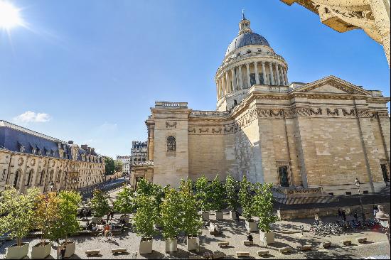 Paris V - Family and reception apartment place du Pantheon