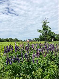 Hatch Cove Farm