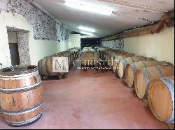 For sale Beautiful wine estate of around 28 ha South of Bordeaux