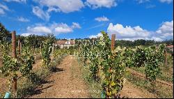 Quinta d'Arauta-Agrotourism with vineyard, for sale, Lousada, Portugal