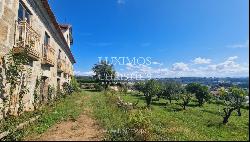 Quinta d'Arauta-Agrotourism with vineyard, for sale, Lousada, Portugal