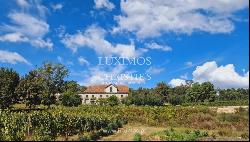 Quinta d'Arauta-Agrotourism with vineyard, for sale, Lousada, Portugal