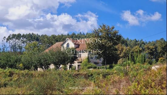 Quinta d'Arauta-Agrotourism with vineyard, for sale, Lousada, Portugal