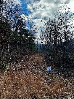 Lot 47 N Nickajack Road #47, Franklin NC 28734