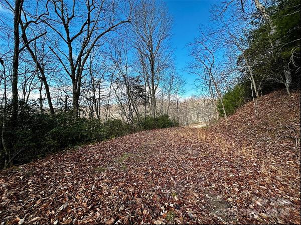 Lot 47 N Nickajack Road #47, Franklin NC 28734