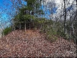 Lot 47 N Nickajack Road #47, Franklin NC 28734