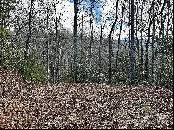 Lot 47 N Nickajack Road #47, Franklin NC 28734