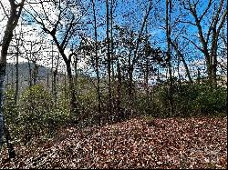 Lot 47 N Nickajack Road #47, Franklin NC 28734