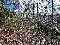 Lot 47 N Nickajack Road #47, Franklin NC 28734