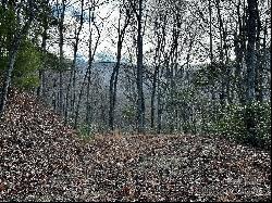 Lot 47 N Nickajack Road #47, Franklin NC 28734