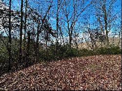 Lot 47 N Nickajack Road #47, Franklin NC 28734