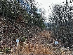 Lot 47 N Nickajack Road #47, Franklin NC 28734