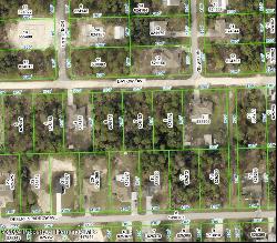 Day Owl Avenue, Weeki Wachee FL 34613