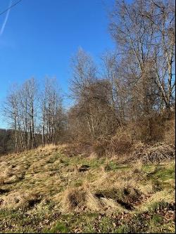 Lot 2 Route 56, Allegheny Twp - Wml PA 15068