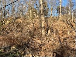 Lot 2 Route 56, Allegheny Twp - Wml PA 15068