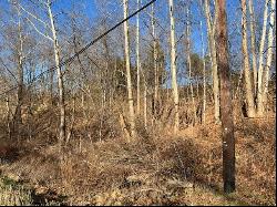 Lot 2 Route 56, Allegheny Twp - Wml PA 15068