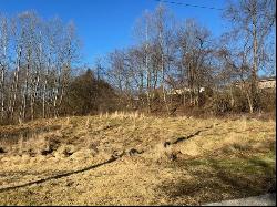 Lot 2 Route 56, Allegheny Twp - Wml PA 15068