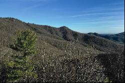 SCENIC ACRES - BLOWING ROCK