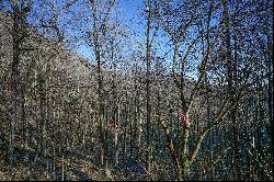 SCENIC ACRES - BLOWING ROCK