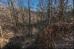 SCENIC ACRES - BLOWING ROCK