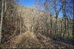 SCENIC ACRES - BLOWING ROCK