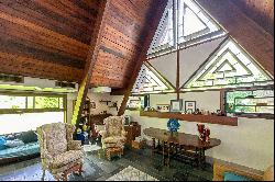 Enchanting Mid-Century Modern A-Frame