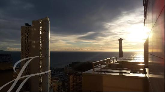 Jardin Exotique - Le Monte-Carlo View - 1 bedroom in New building