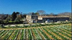 Vineyard with castle and large complex of buildings on 65 ha of irrigable land just outsi