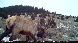 NHN Lower Valley Road, Boulder MT 59632