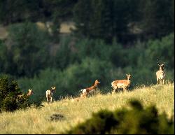 NHN Lower Valley Road, Boulder MT 59632