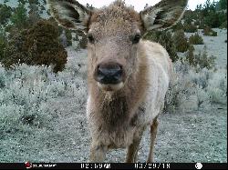 NHN Lower Valley Road, Boulder MT 59632