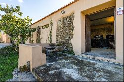 Historic Estate with 17th-Century Manor, Chapel, and Organic Vineyards in Torres Vedras