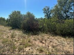 TBD Lot 3 Private Road 342, Hawley TX 79525