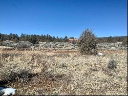 Lot 8 E Lobo Drive, Ramah NM 87321