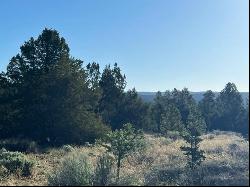 Lot 8 E Lobo Drive, Ramah NM 87321