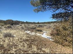 Lot 8 E Lobo Drive, Ramah NM 87321