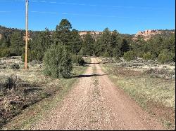 Lot 8 E Lobo Drive, Ramah NM 87321