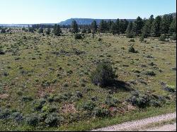 Lot 8 E Lobo Drive, Ramah NM 87321